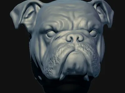 3D English Bulldog head 3D model