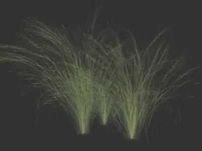 Grass three grasses Free 3D model