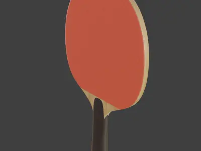 Table Tennis Bat 3D model