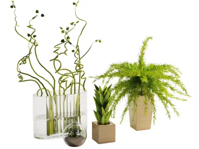 decorative set 05 3D model