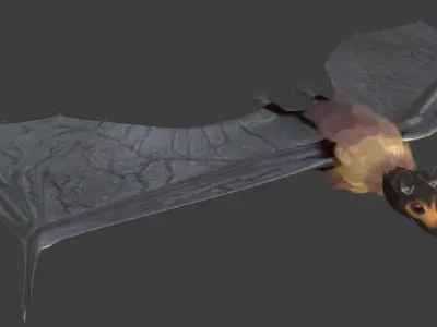 Spectacled Flying Fox Mega Bat Fruit Bat Game Ready Model UE 3D model