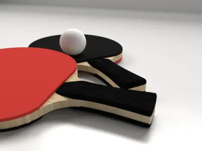 Table Tennis Set 3D model