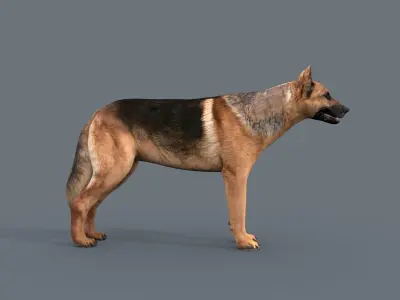 My Dog - 3d animated dog model Low-poly 3D model