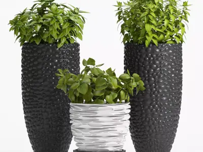 Decorative plants set-1 3D model