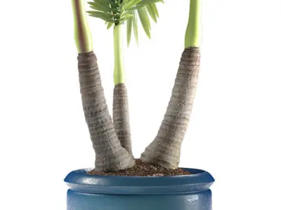 palm plant 148 3D model