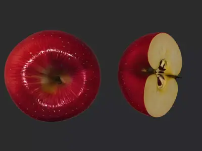 Apple 3D Model Low-poly 3D model