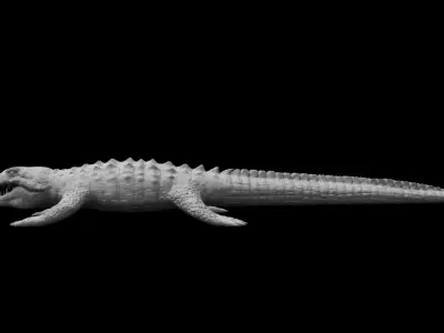crocodile 3d model alligator 3D model