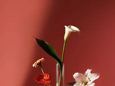 Lilium flower 3D model