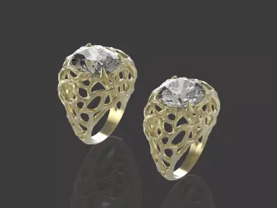 2 rings roots 3D print model