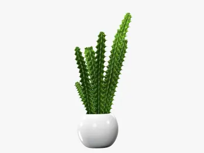 Potted plant decorative 07 3D model