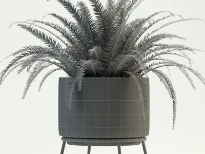 Plants collection 76 Modernica pots 3D model