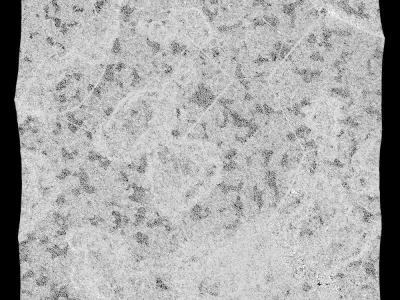 523-RockPanel piece of rock on wall 3D model