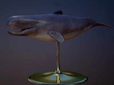 Livyatan Melvillei  3D model purchase