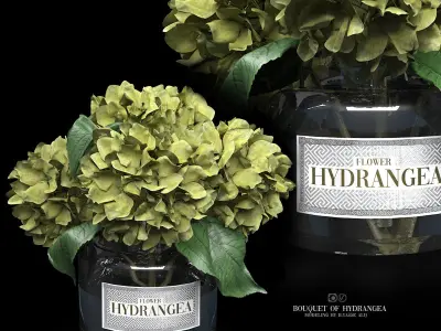 bouquet of hydrangea 3D model