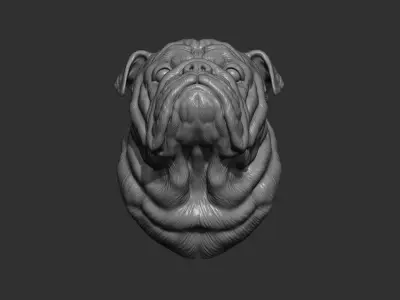 English bulldog bust 3D print model