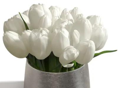 White Sulip In Silver Vase PBR 3D model