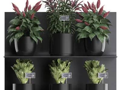 Plant set wall decor vertical garden 51 3D model
