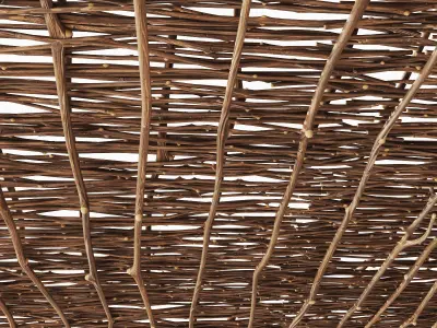 Ceiling wicker branch crooked 3D model