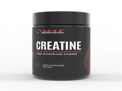 Protein Powder 3D model 36