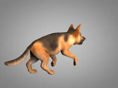 Shepherd german Low-poly 3D model