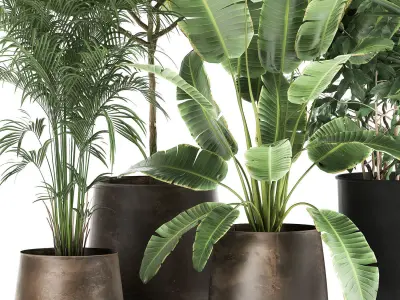 Houseplants in a rust flowerpot for the interior 978 3D model