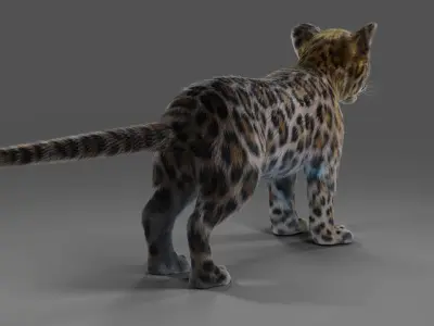 Fur Baby Jaguar No Rigged  Low-poly 3D model