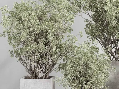 concrete box plants on stand - set outdoor plant 207 3D model