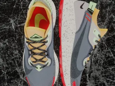 NIKE 3D SHOES - PEGASUS TRAIL 2 Low-poly 3D model