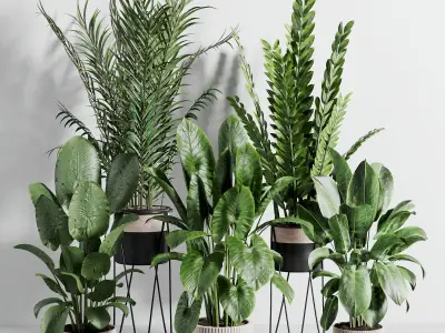 indoor plant 523 3D model