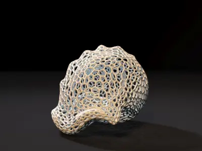 Seashell  3D print model