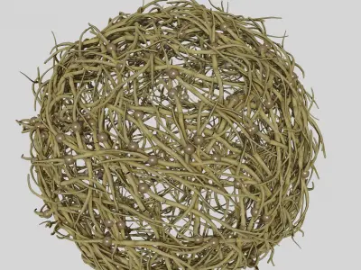 Tumbleweed stylized 3D model