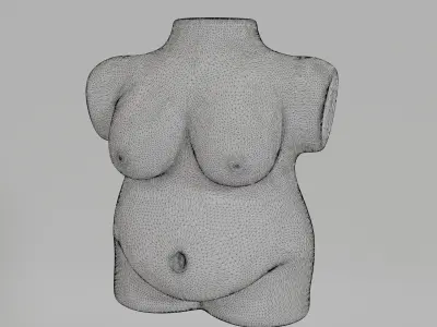 Woman sculpt 3D print model