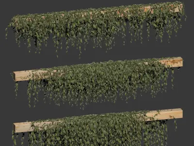Leaves on the vine for beams or ceilings v3 3D model
