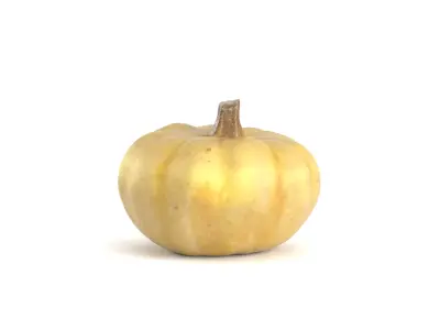 Decorative Pumpkin Gourd 1 3D model