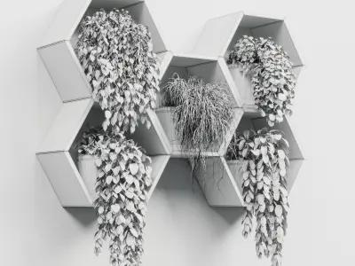 wall plant  set Indoor plant 268 concrete wall 3D model