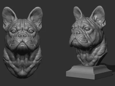 French bulldog bust 3D print model
