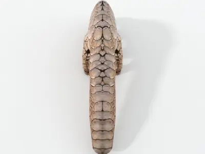 Pangolin Low-poly 3D model