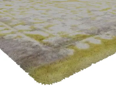 Rug Set 1795 3D model