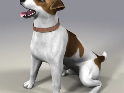 Dog  Jack Russell Terrier  Fur Low-poly 3D model