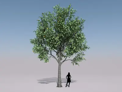 Low Poly Orange tree Low-poly 3D model