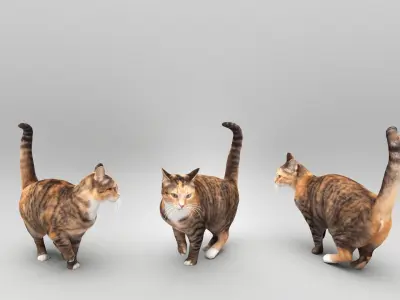 Cat 25 Low-poly 3D model