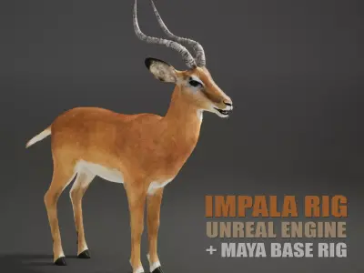 Impala Rig UNREAL project  Maya base rig 3D model