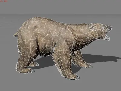 Polar Bear Animal Low-poly 3D model
