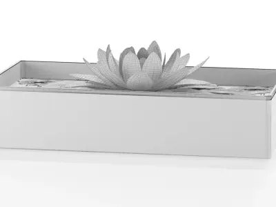 Decorative Set of Water Lily 3D model
