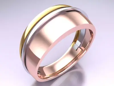 Ring N116300 3D print model