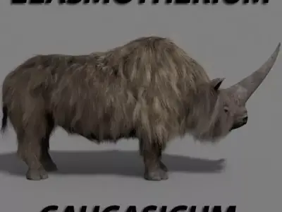 3D Wooly Elasmotherium Rhino 3D model