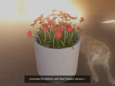 Concrete Pipe Pots With Red Flowers 3D Model Collection