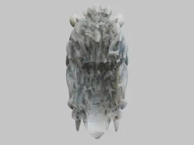 High-Detailed Fantasy Horse Head Bust 2 textures versions Low-poly 3D model