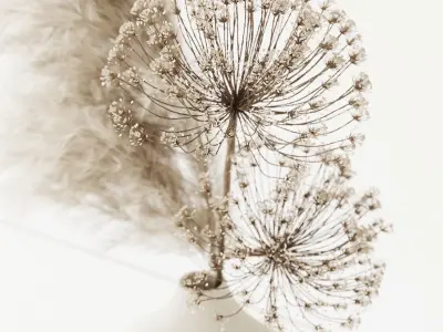 Dry Composition 3D model