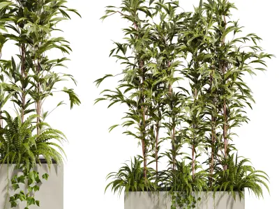Plants Set 3D model order